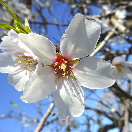 Marblau Mallorca